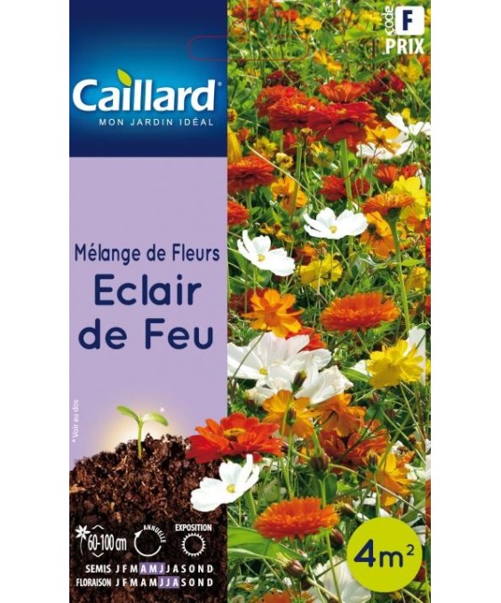 Melange de fleurs "eclair de feu”