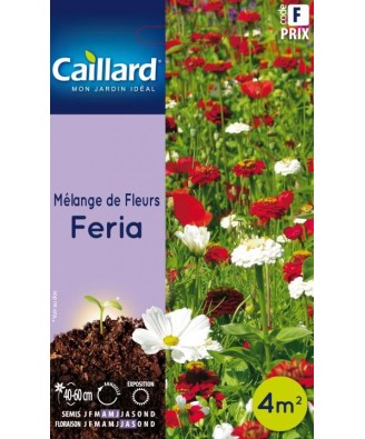 Melange de fleurs "feria”