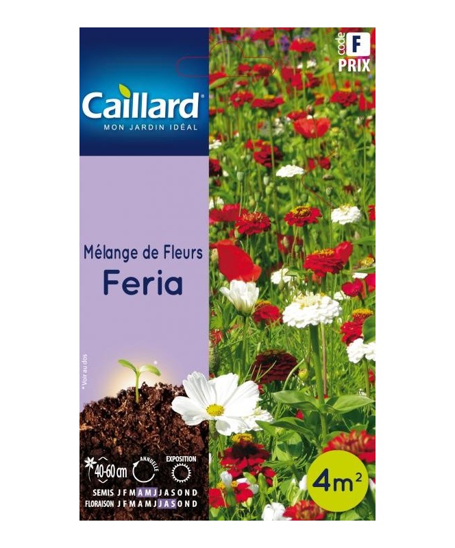 Melange de fleurs "feria”