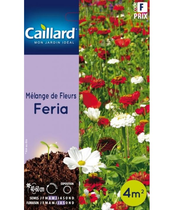 Melange de fleurs "feria”