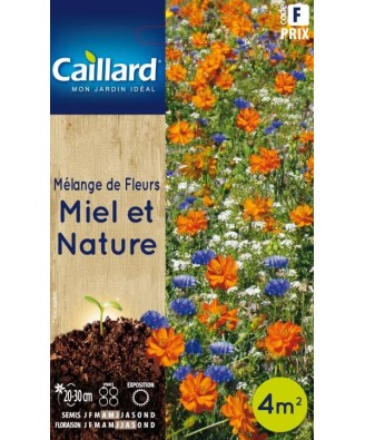 Melange de fleurs "miel et nature - fleurs courtes”