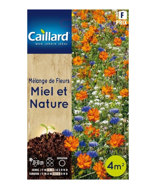 Melange de fleurs "miel et nature - fleurs courtes”