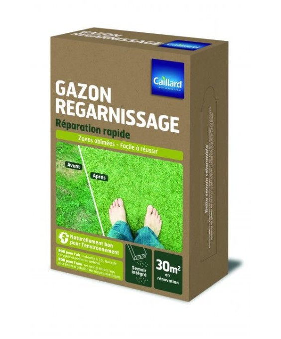 Gazon "regarnissage”