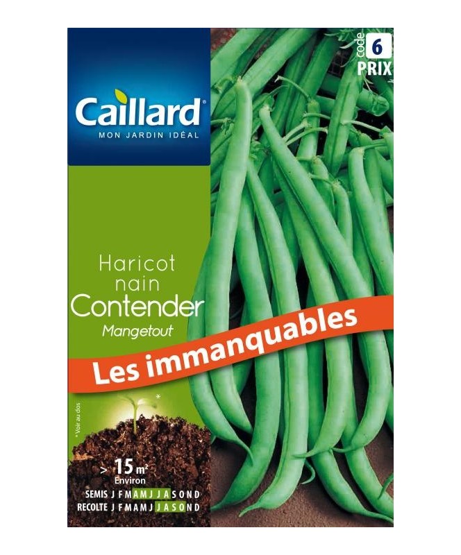 Haricot nain "mangetout contender”