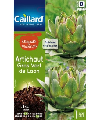 Artichaut "gros vert de laon”