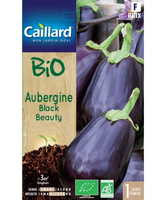 Aubergine "black beauty”