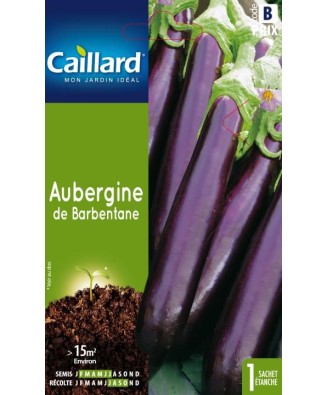 Aubergine "de barbentane”