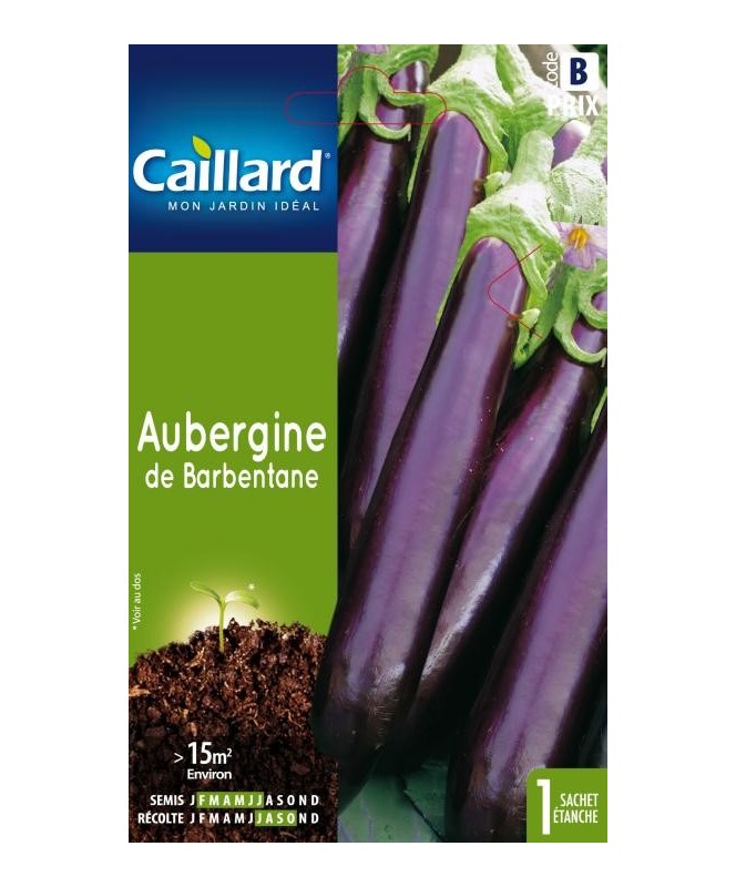 Aubergine "de barbentane”