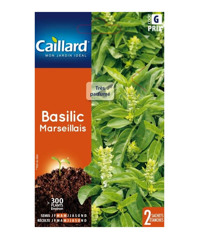 Basilic "marseillais”