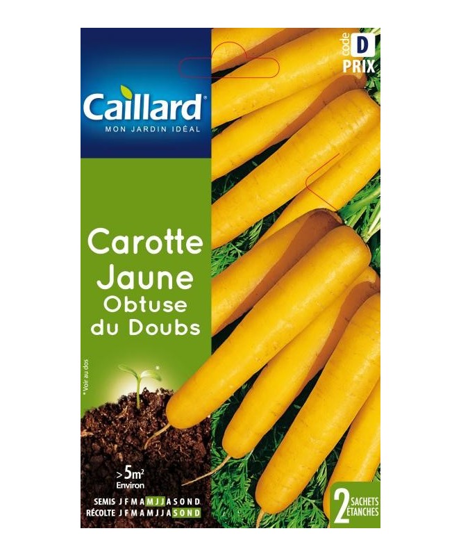 Carotte "jaune du doubs”