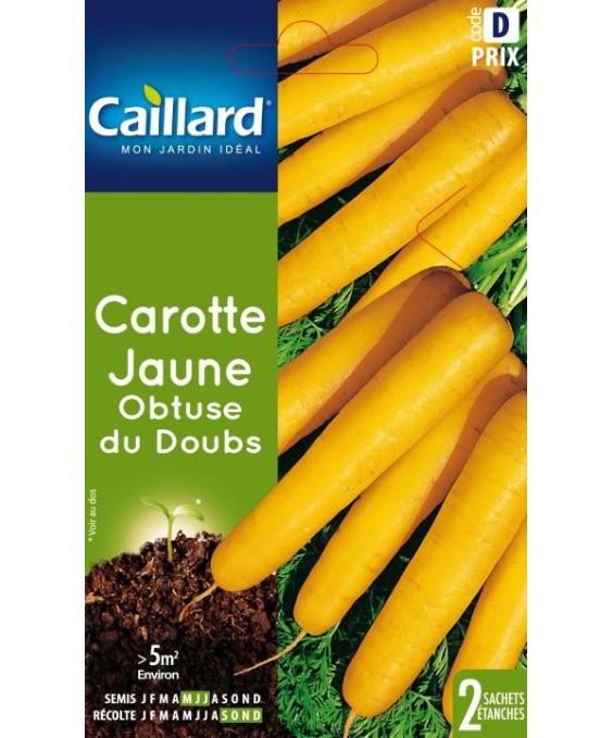 Carotte "jaune du doubs”