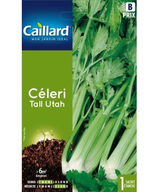 Celeri "tall utah”