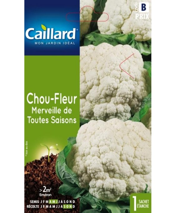 Chou-fleur "merveille de toutes saisons”