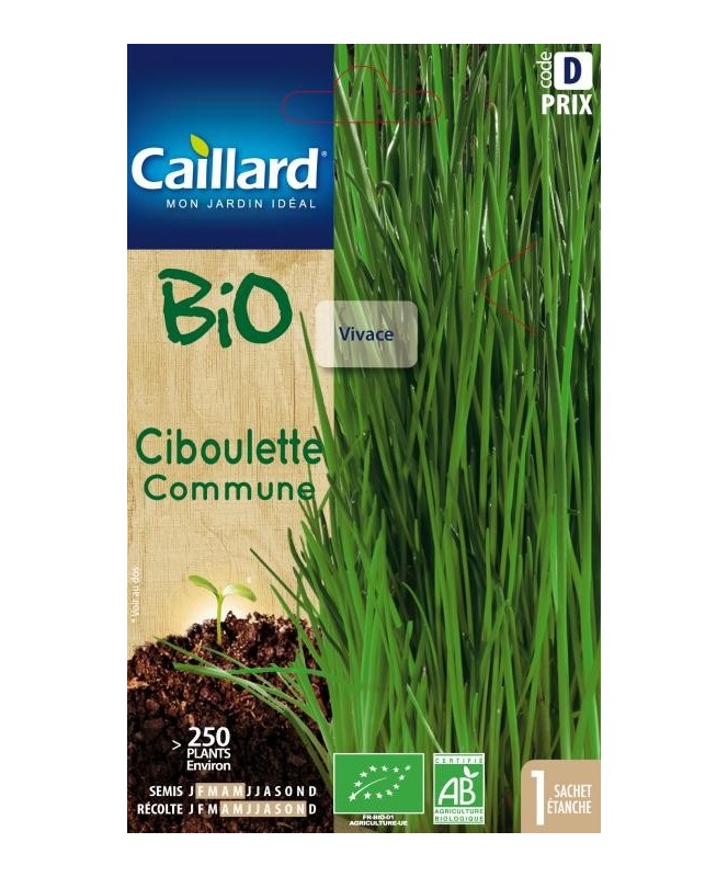 Ciboulette "bio”