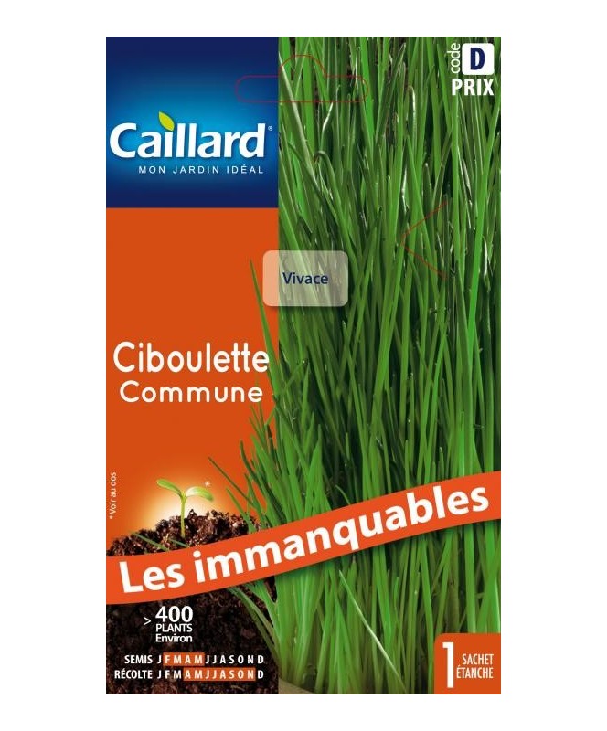 Ciboulette "commune”