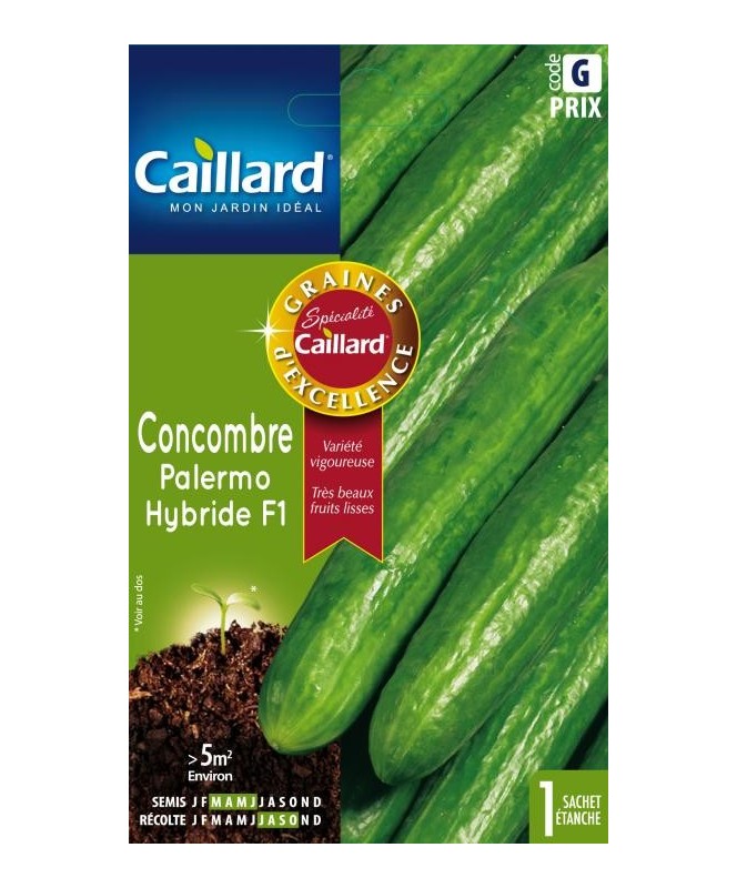 Concombre "palermo hybride f1”