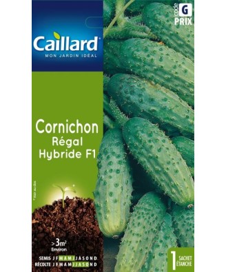 Cornichon "regal hybride f1”