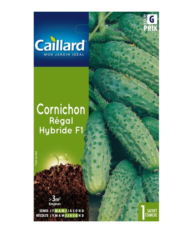 Cornichon "regal hybride f1”