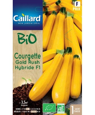 Courgette "gold rush hybride f1”