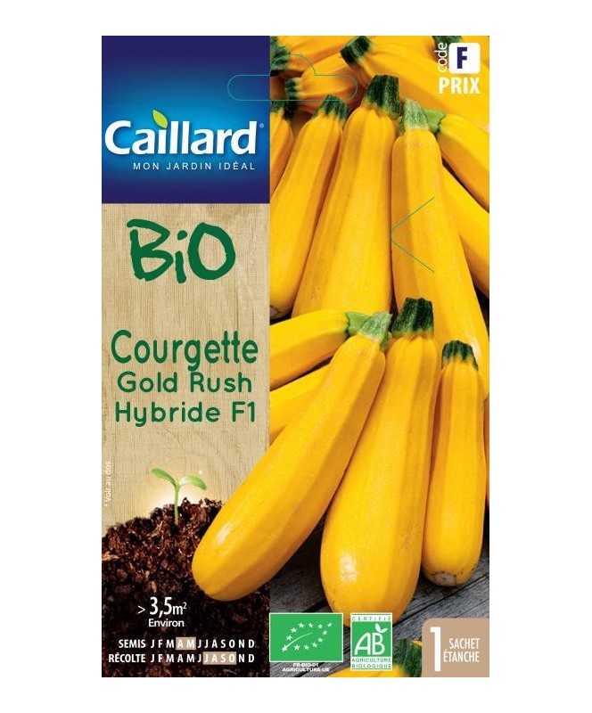 Courgette "gold rush hybride f1”