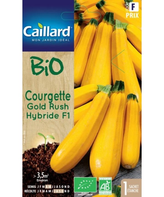 Courgette "gold rush hybride f1”