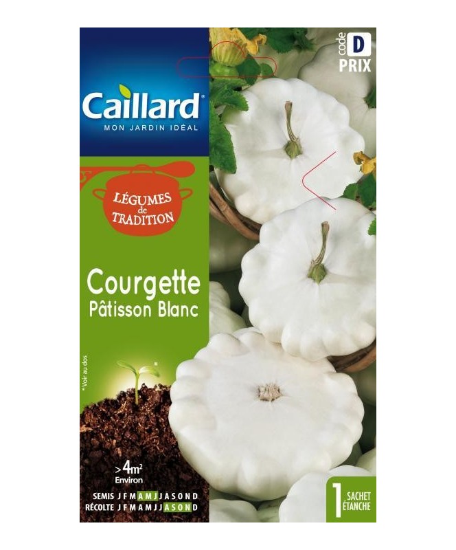 Courgette "patisson blanc”