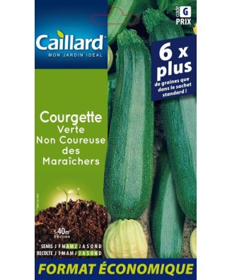 Courgette "verte non coureuse des maraichers”