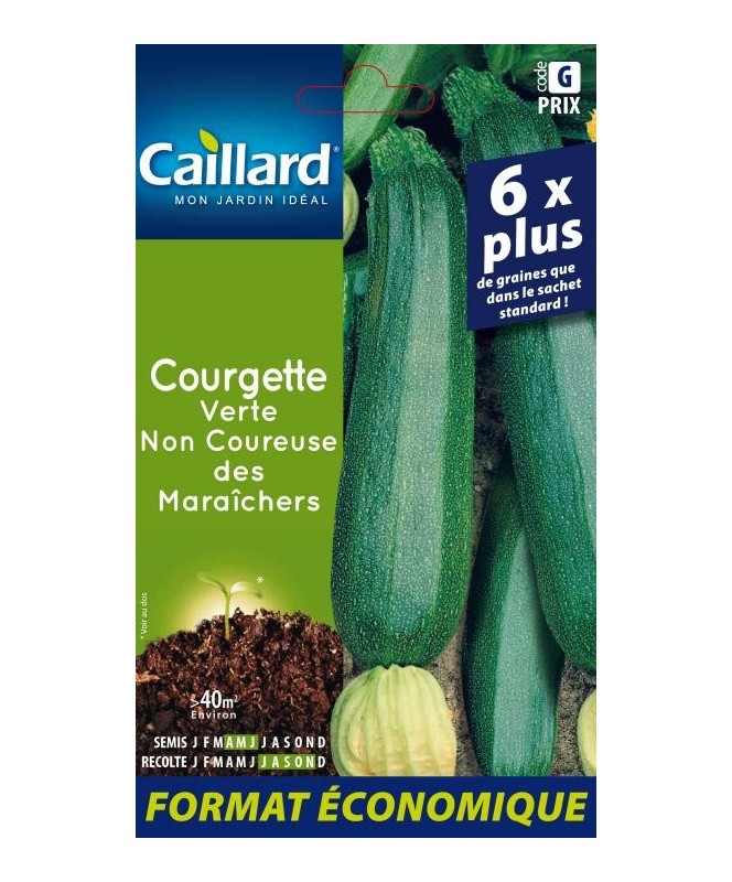 Courgette "verte non coureuse des maraichers”