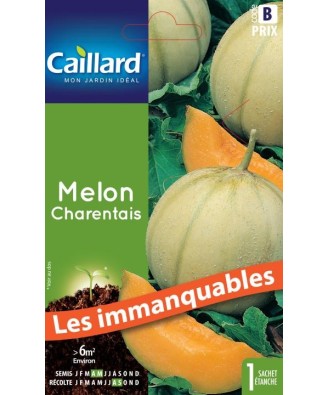 Melon "charentais”