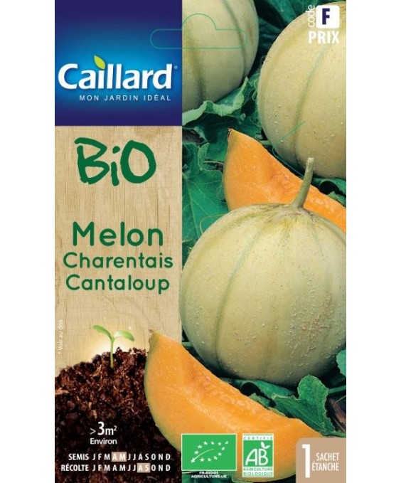 Melon "charentais cantaloup”