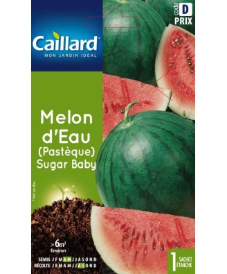 Melon d'eau (pasteque) "sugar baby”