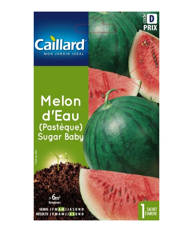 Melon d'eau (pasteque) "sugar baby”