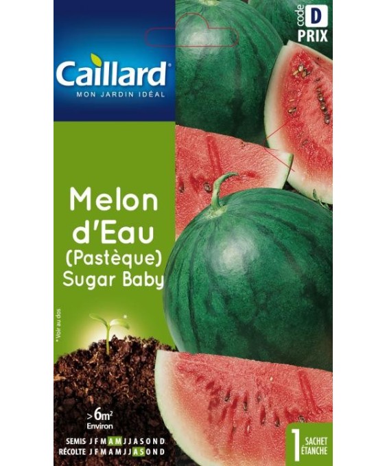 Melon d'eau (pasteque) "sugar baby”