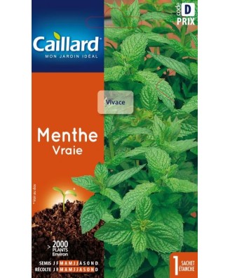 Menthe "vraie”