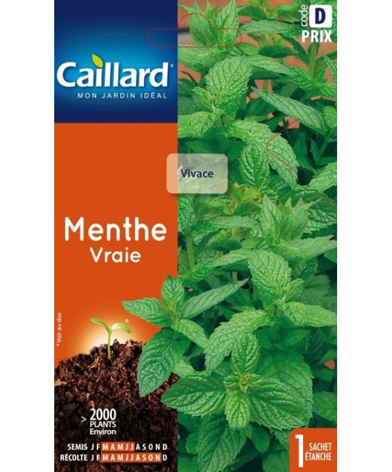 Menthe "vraie”