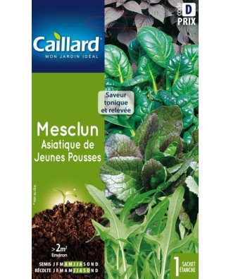 Mesclun "asiatique de jeunes pousses”