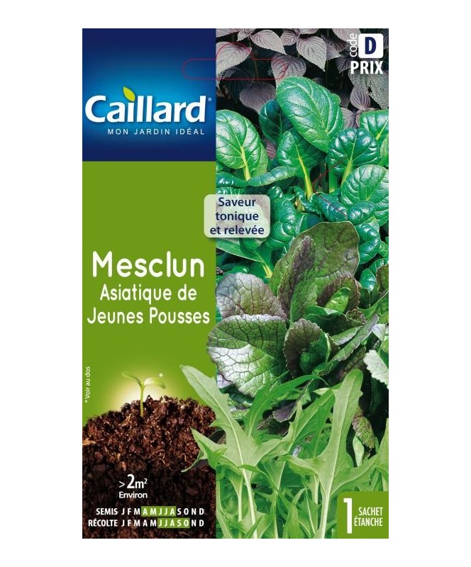 Mesclun "asiatique de jeunes pousses”