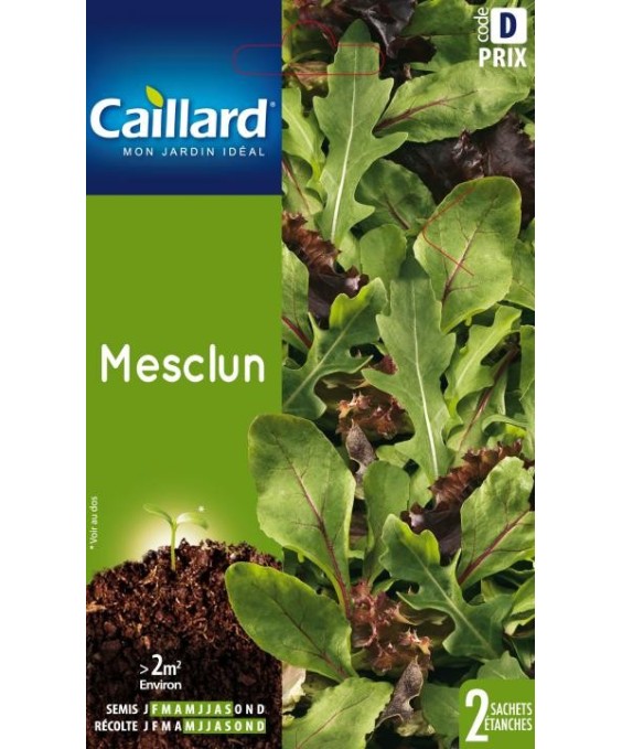 Mesclun "mesclun”