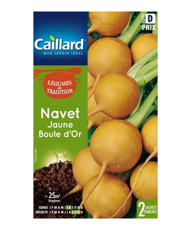 Navet "jaune boule d'or”