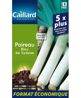 Poireau "bleu de solaise”