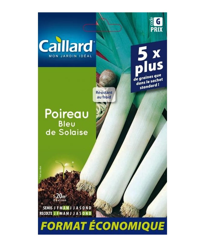 Poireau "bleu de solaise”