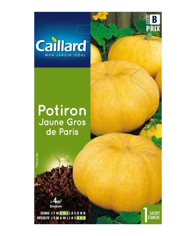 Potiron "jaune gros de paris”