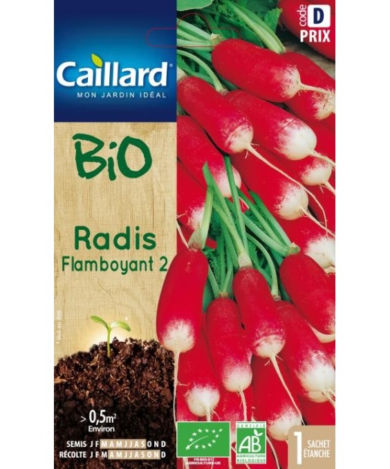 Radis "flamboyant 2”