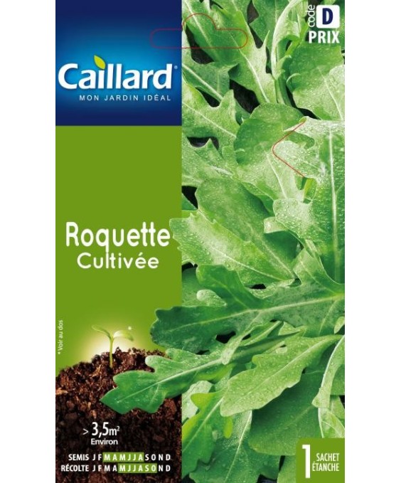 Roquette "cultivee”