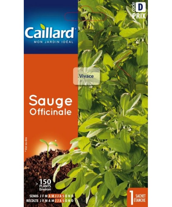 Sauge "officinale”