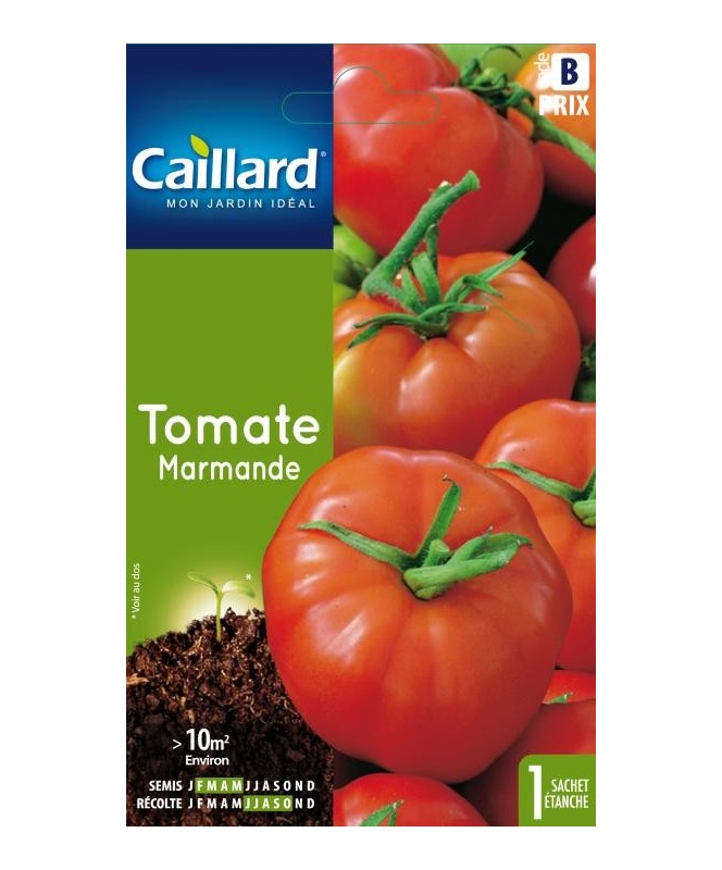 Tomate "marmande”