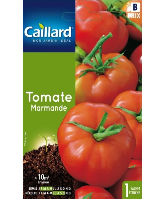 Tomate "marmande”