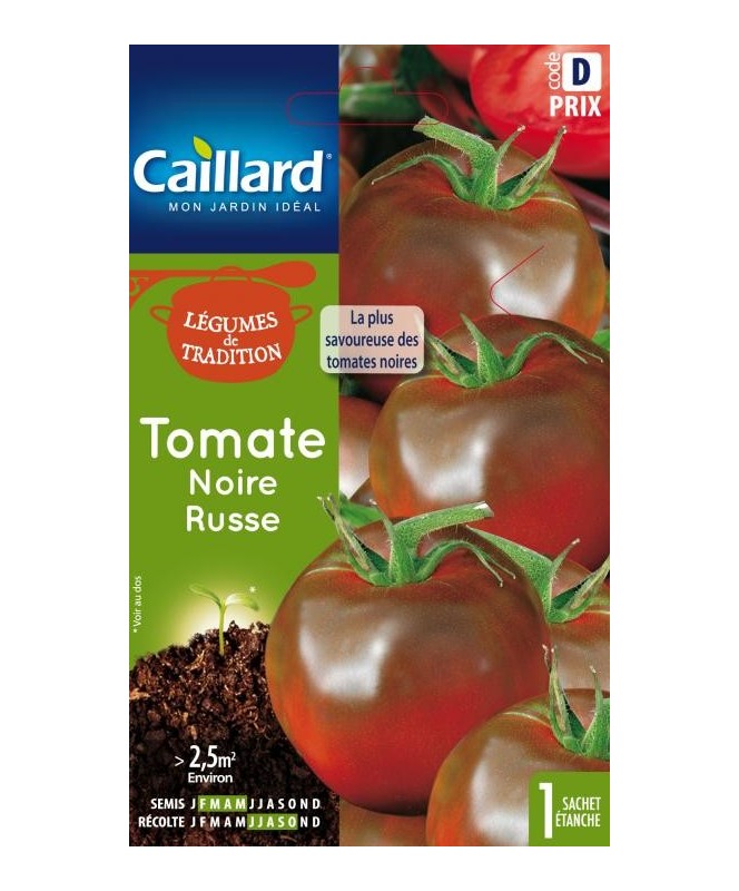 Tomate "noire russe”