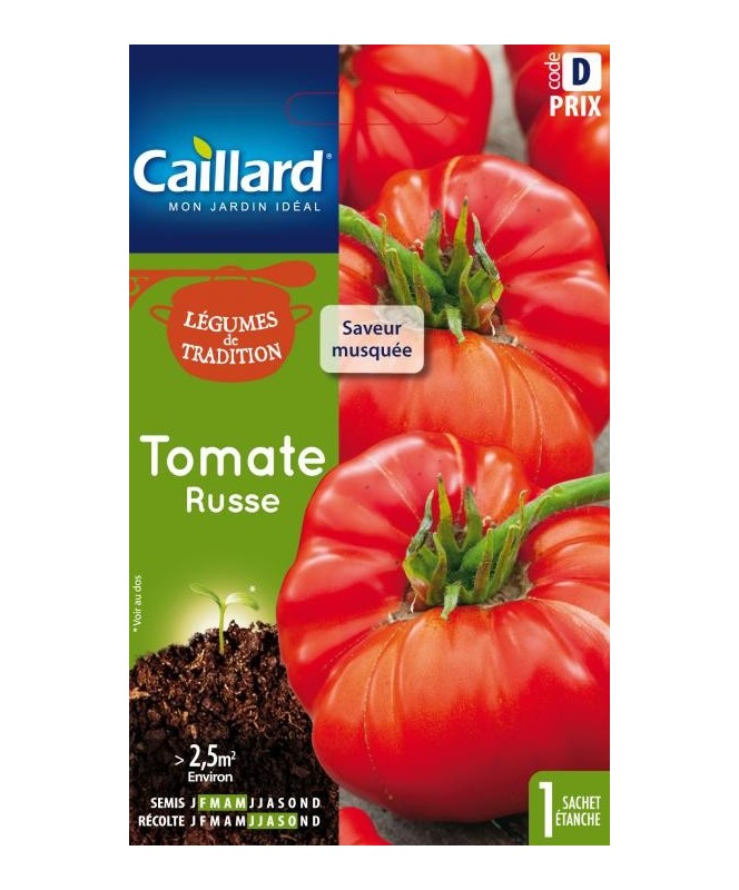 Tomate "russe”