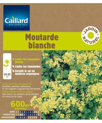 Moutarde blanche